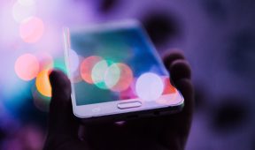 rodion-kutsaev-184298-unsplash rodion-kutsaev-184298-unsplash